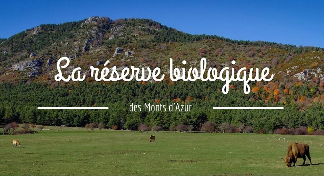Montagne, Mer Et Verdon Séranon Exteriér fotografie